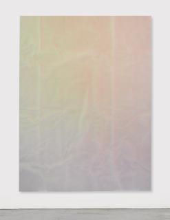 Tauba Auerbach - Untitled (Fold)