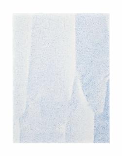 Tauba Auerbach - Untitled (Fold)