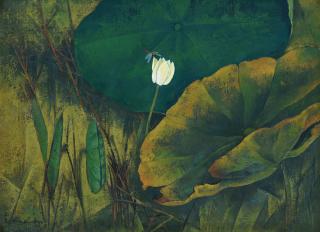 Tay Bak Koi - Harmony