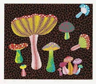 Tayoi Kusama - Toadstools