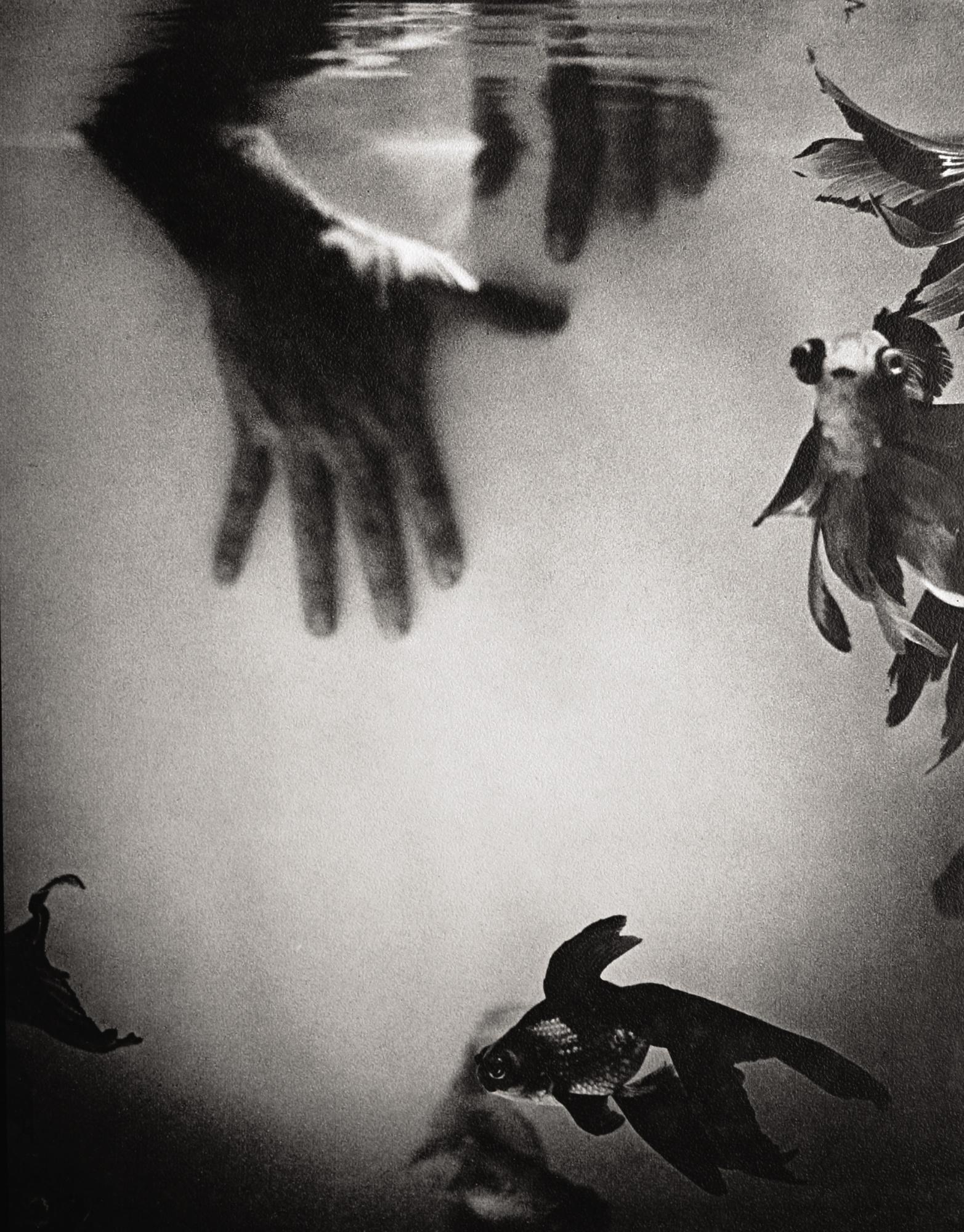 Tchan Fou-Li - Below The Surface