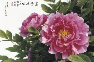 Tchan Fou-Li - Fortune And Longevity