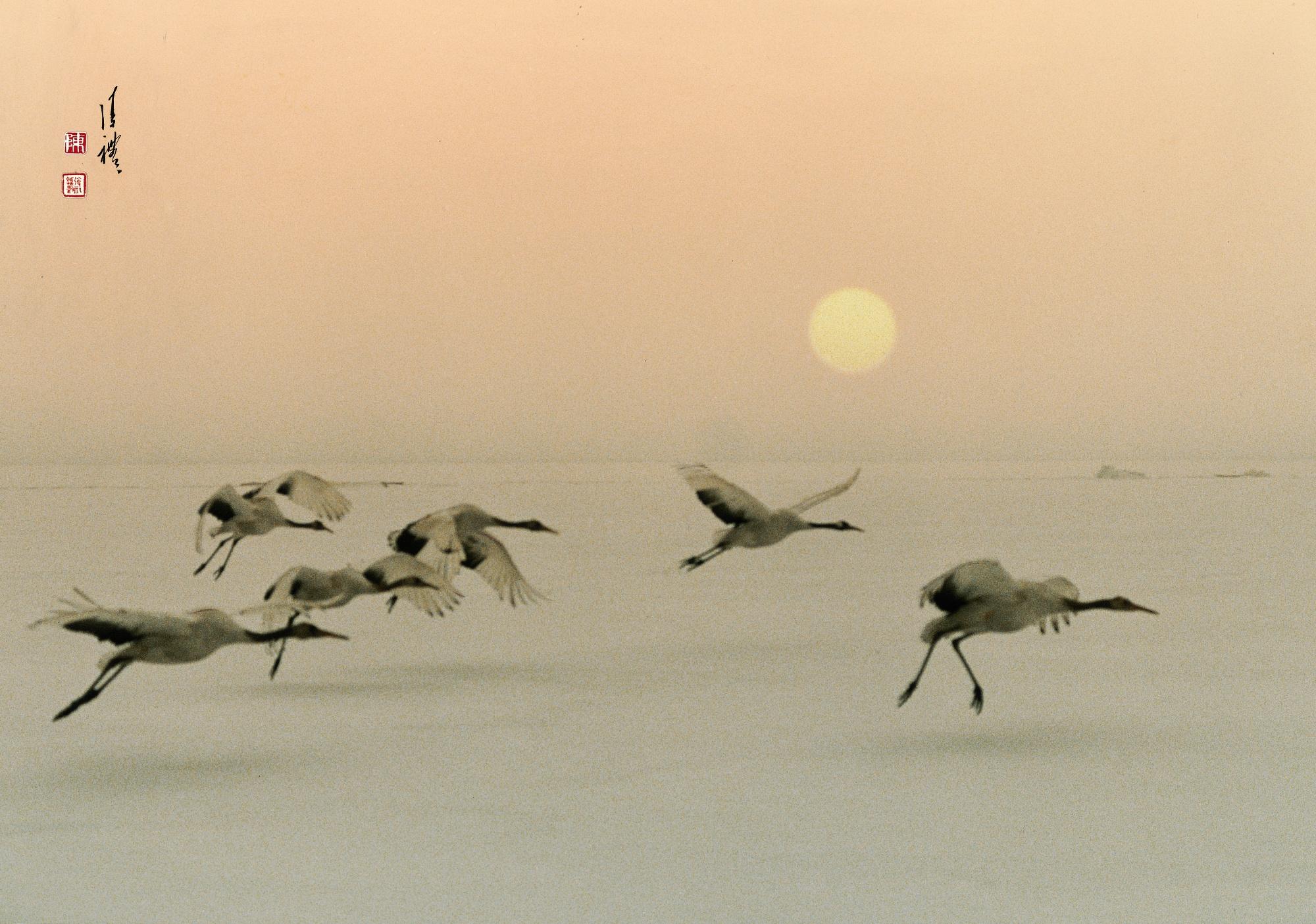 Tchan Fou-Li - Joyful Flight