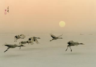 Tchan Fou-Li - Joyful Flight