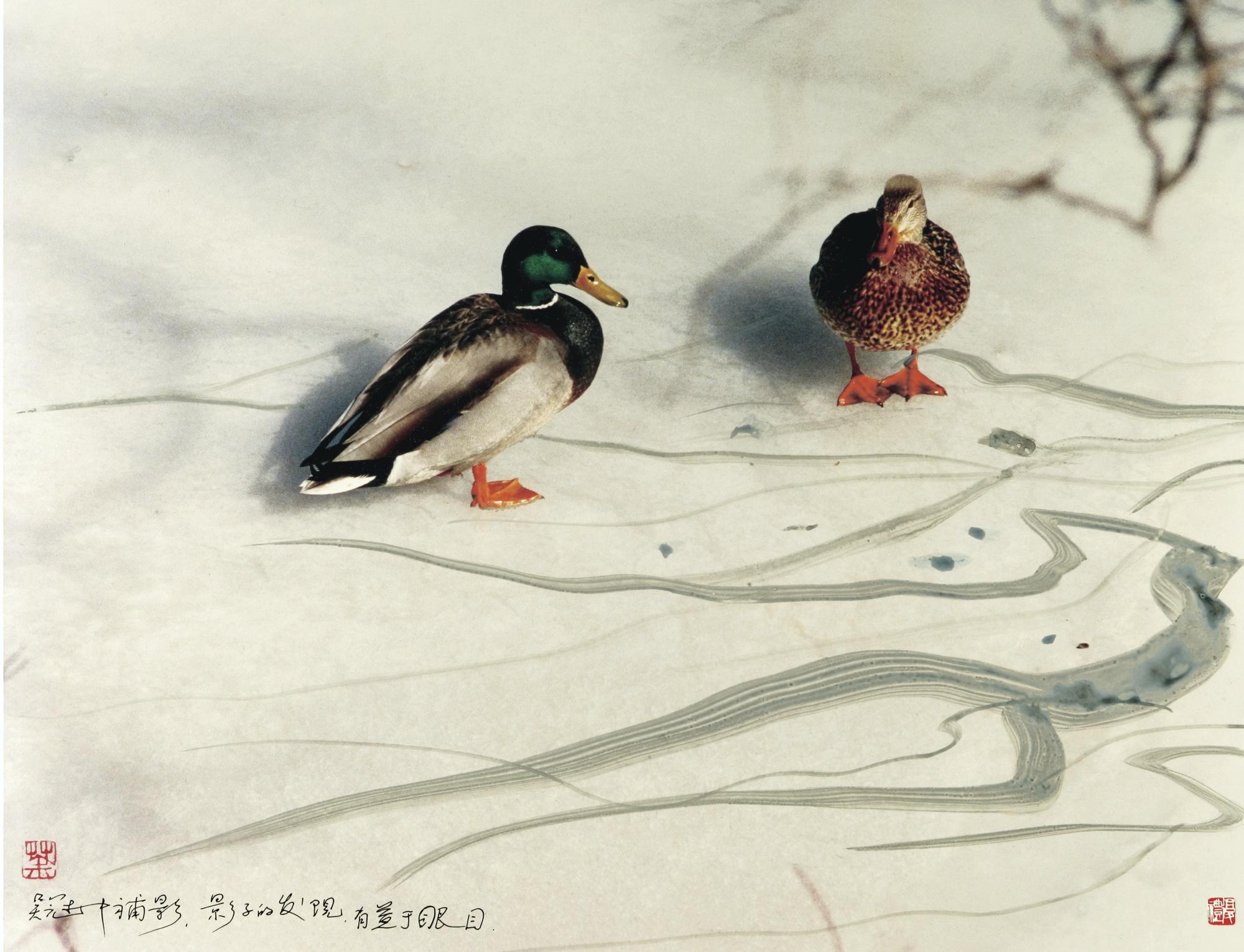 Tchan Fou-Li - Shadow