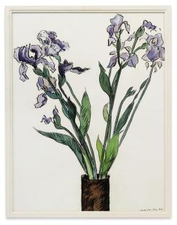 Teddy Millington-Drake - Irises