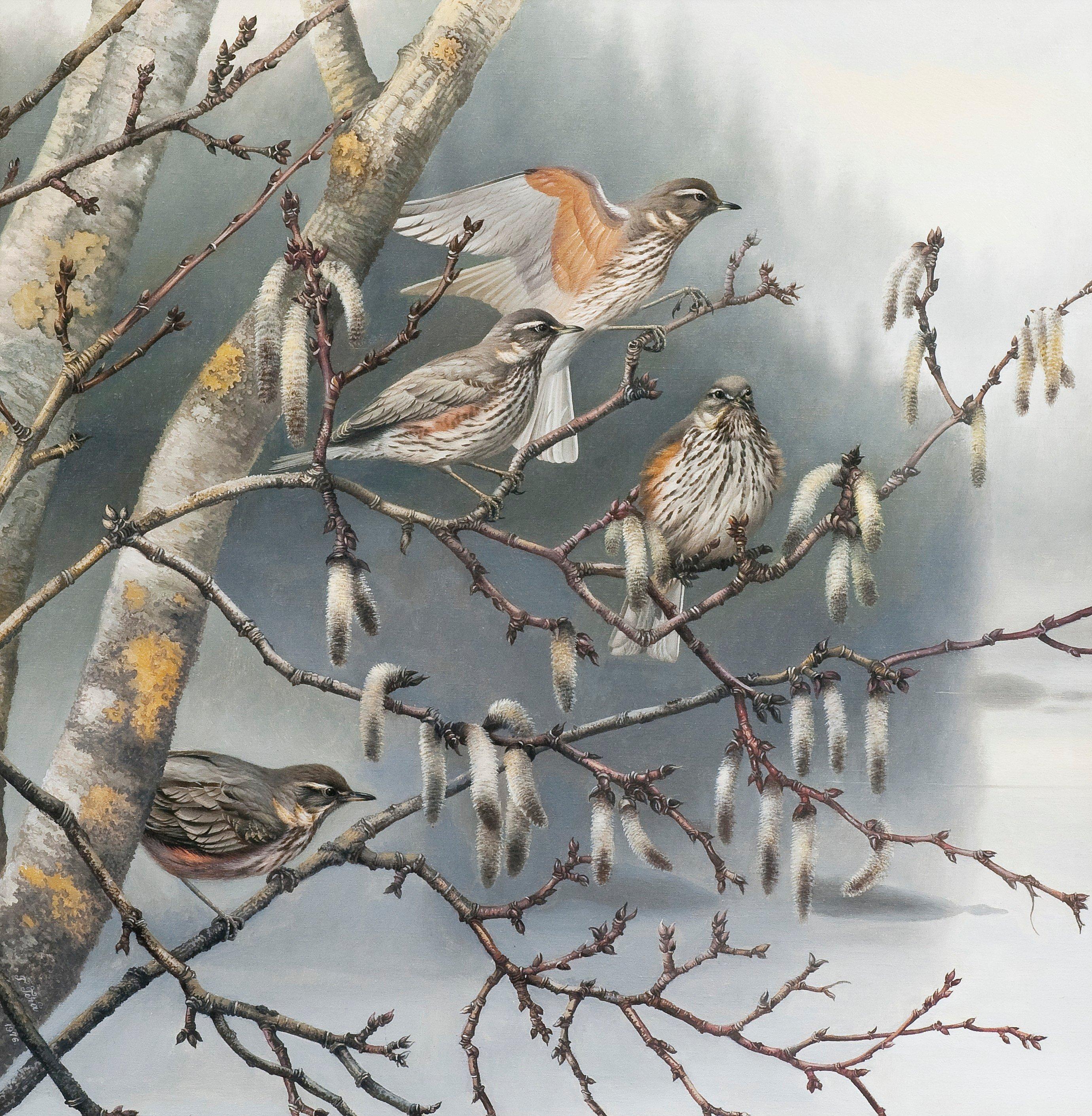 Teppo Terä - Birds.