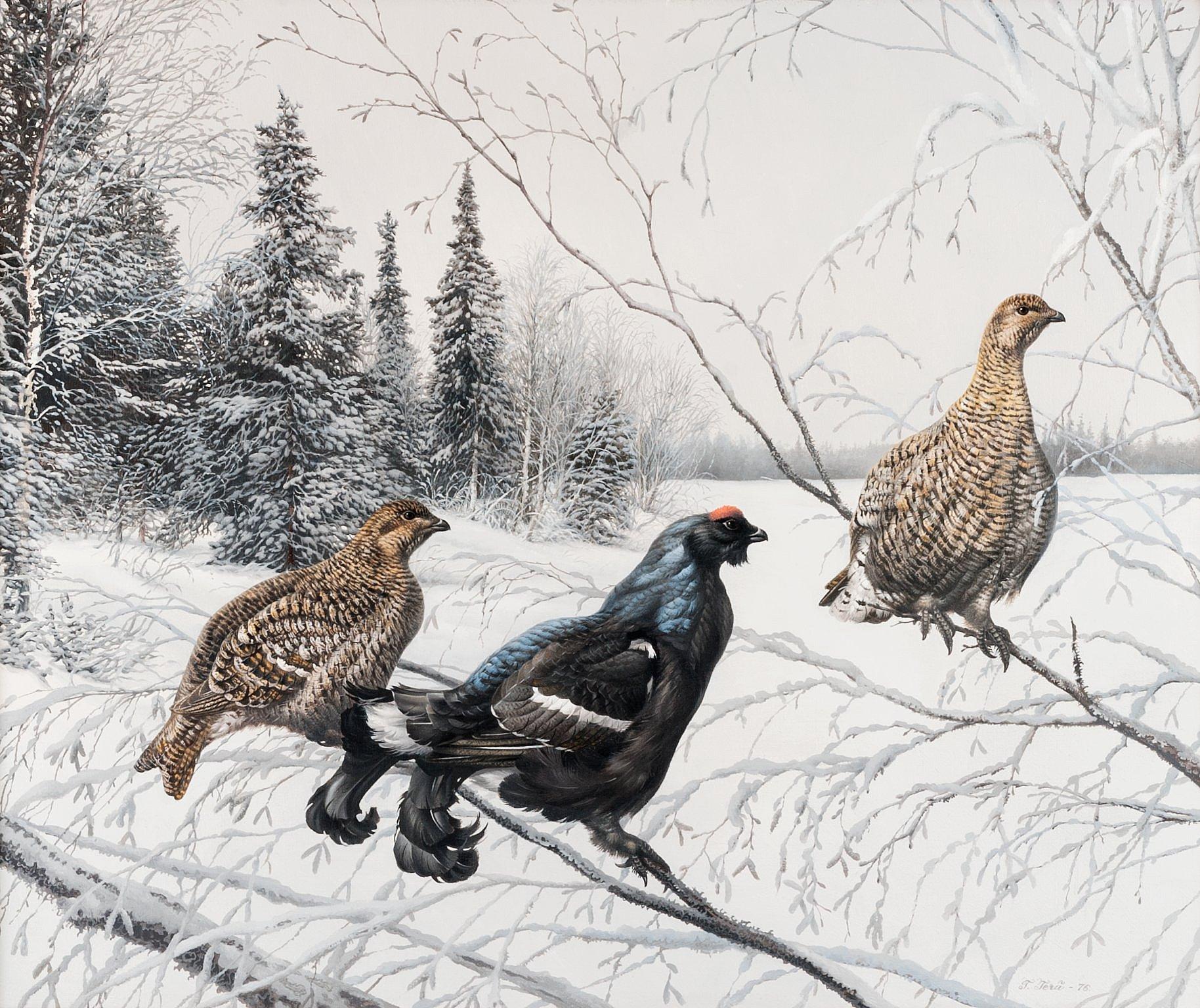 Teppo Terä - Forest Birds.