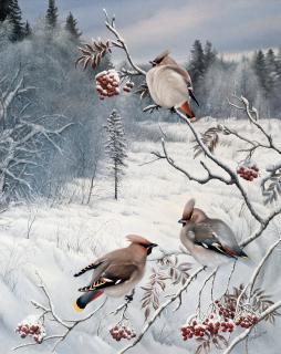 Teppo Terä - Winter View With Waxwings.