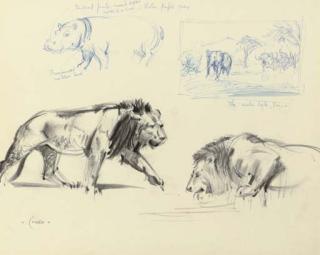 Terence Cuneo - Tsavo Reserve, Kenya