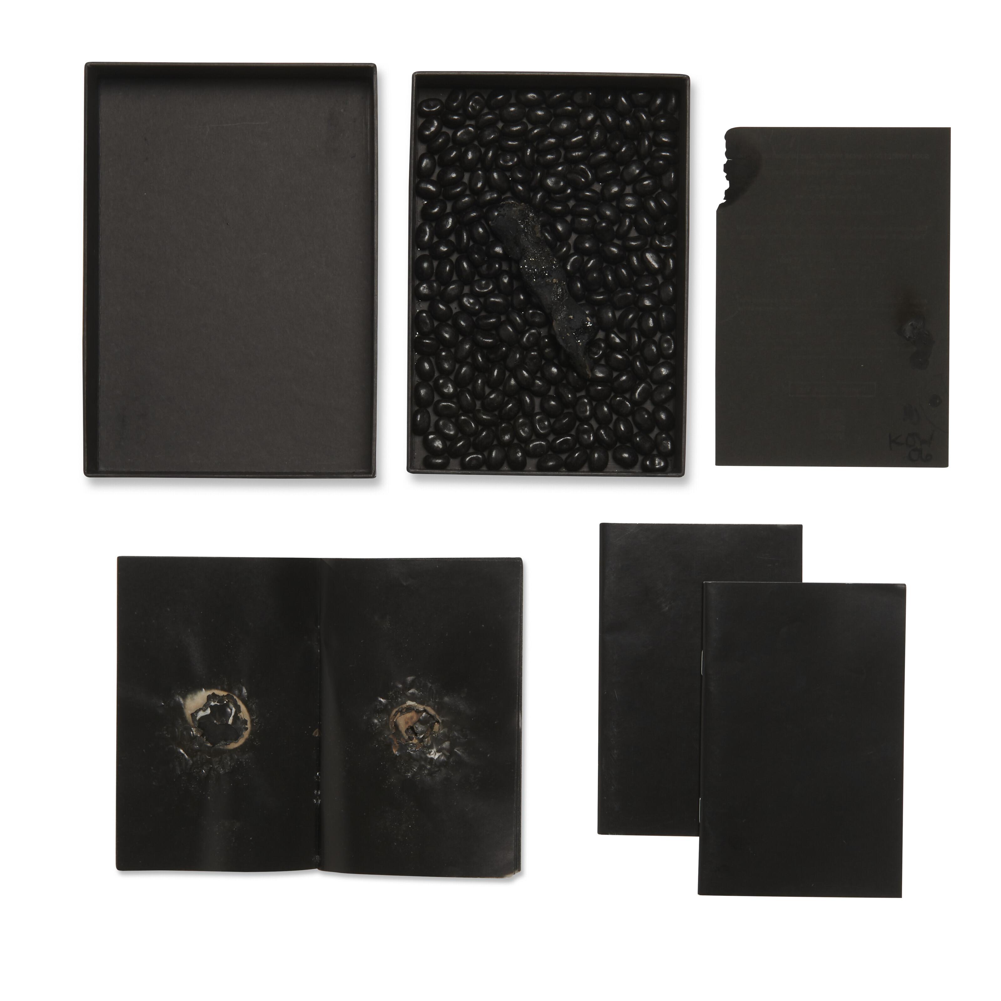 Terence Koh - Such Things I Do To Make Myself More Attractive To You