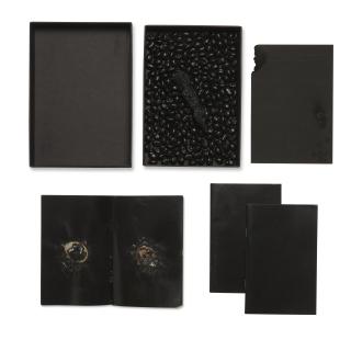 Terence Koh - Such Things I Do To Make Myself More Attractive To You