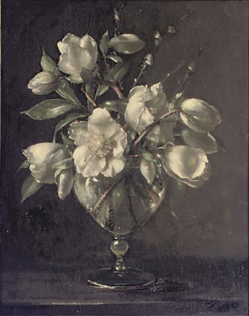 Terence Loudon - White Camelias In A Glass Vase On A Stone Ledge