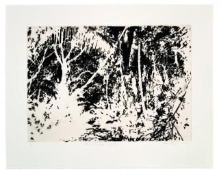 Teresita Fernández - Burned Landscape (Puerto Rico)