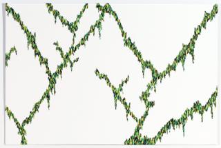 Teresita Fernandez - Ghost Vines (Anthem) #3