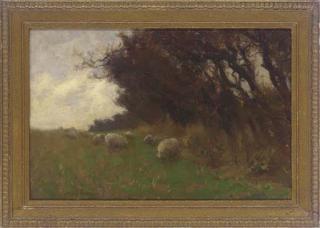 Terrick Williams, R.A., P.R.I., R.O.I. - Sheep grazing beside a wood