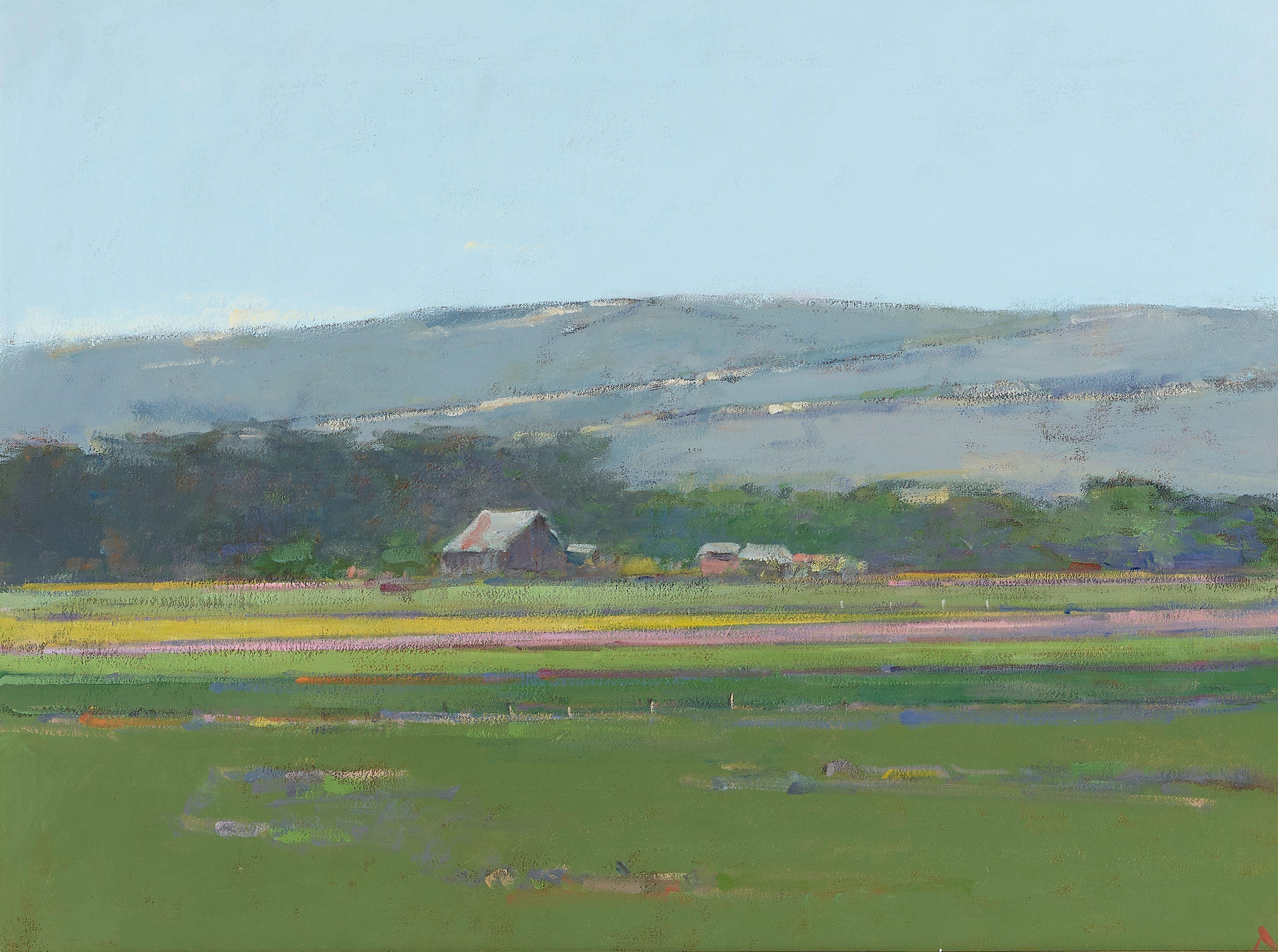Terry DeLapp - Flower Field- Lompoc