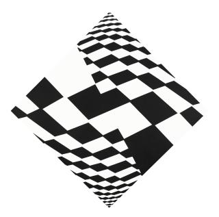 Terry Pope - Distorted Plane Construction No.2