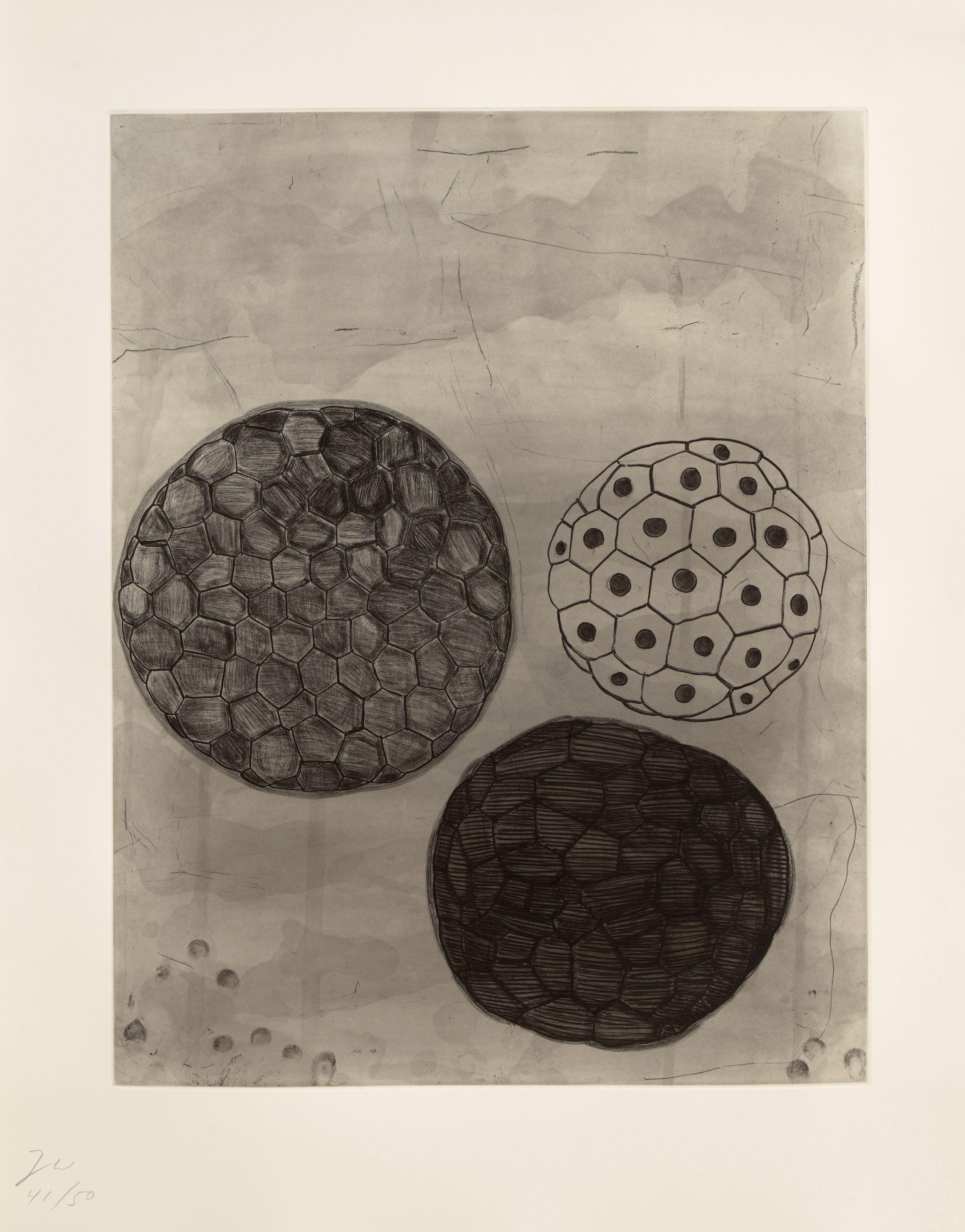 Terry Winters - Album Portfolio 9