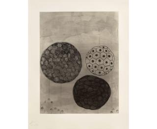 Terry Winters - Album Portfolio 9