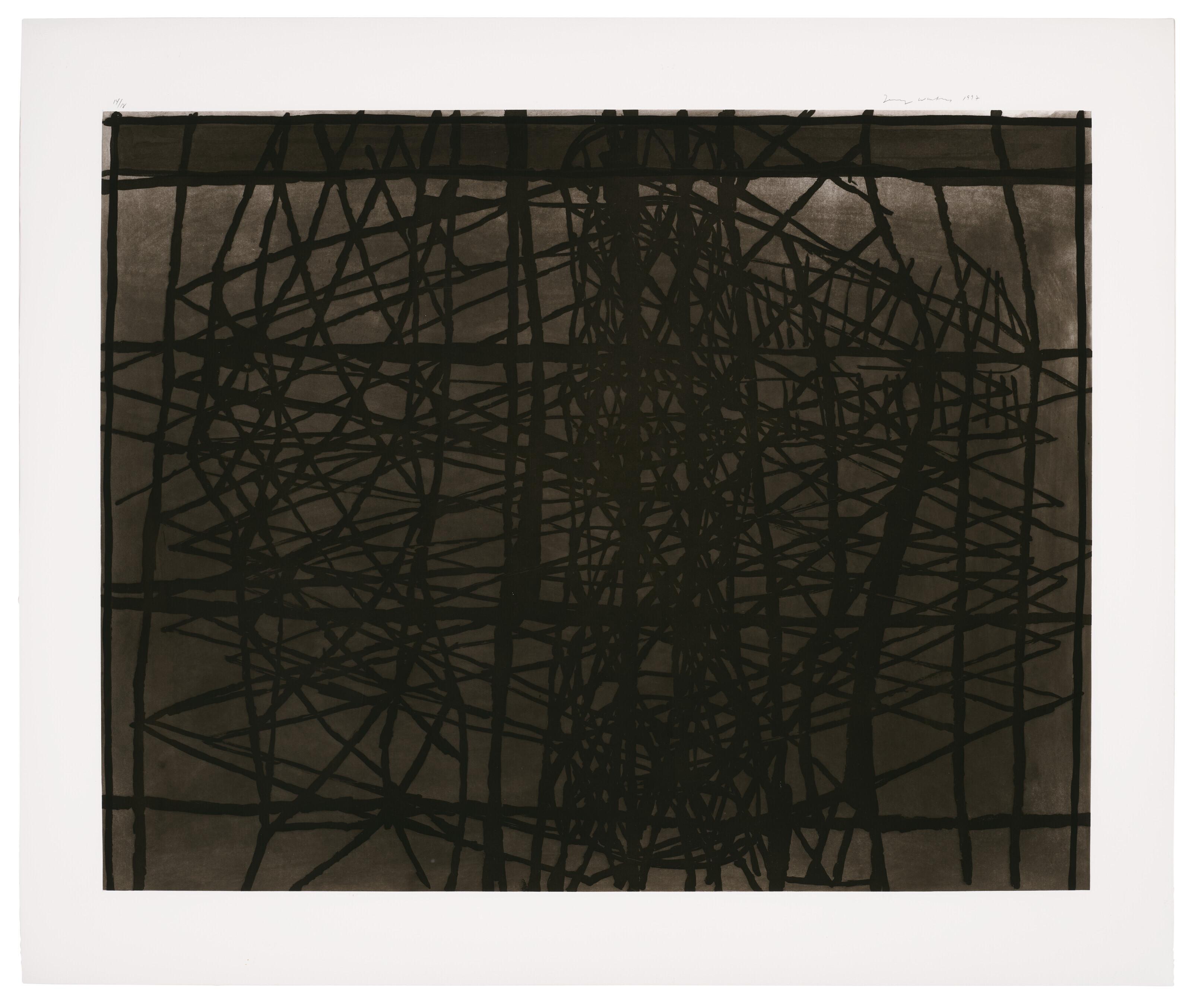 Terry Winters - Developmental Surface Model