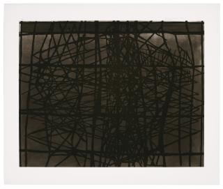 Terry Winters - Developmental Surface Model