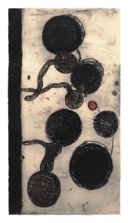 Terry Winters - Double Standard