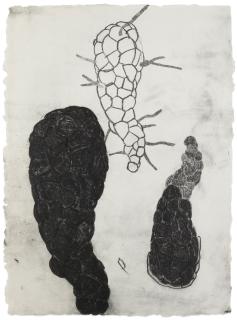 Terry Winters - Factors of Increase