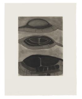 Terry Winters - Field Notes #20, from Field Notes