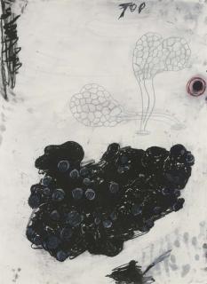 Terry Winters - Folio (Sojka 9-19)