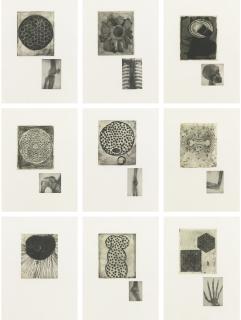 Terry Winters - Fourteen Etchings (Sojka 34-47)