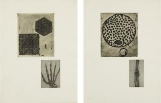 Terry Winters - Fourteen Etchings (Sojka 34-47)