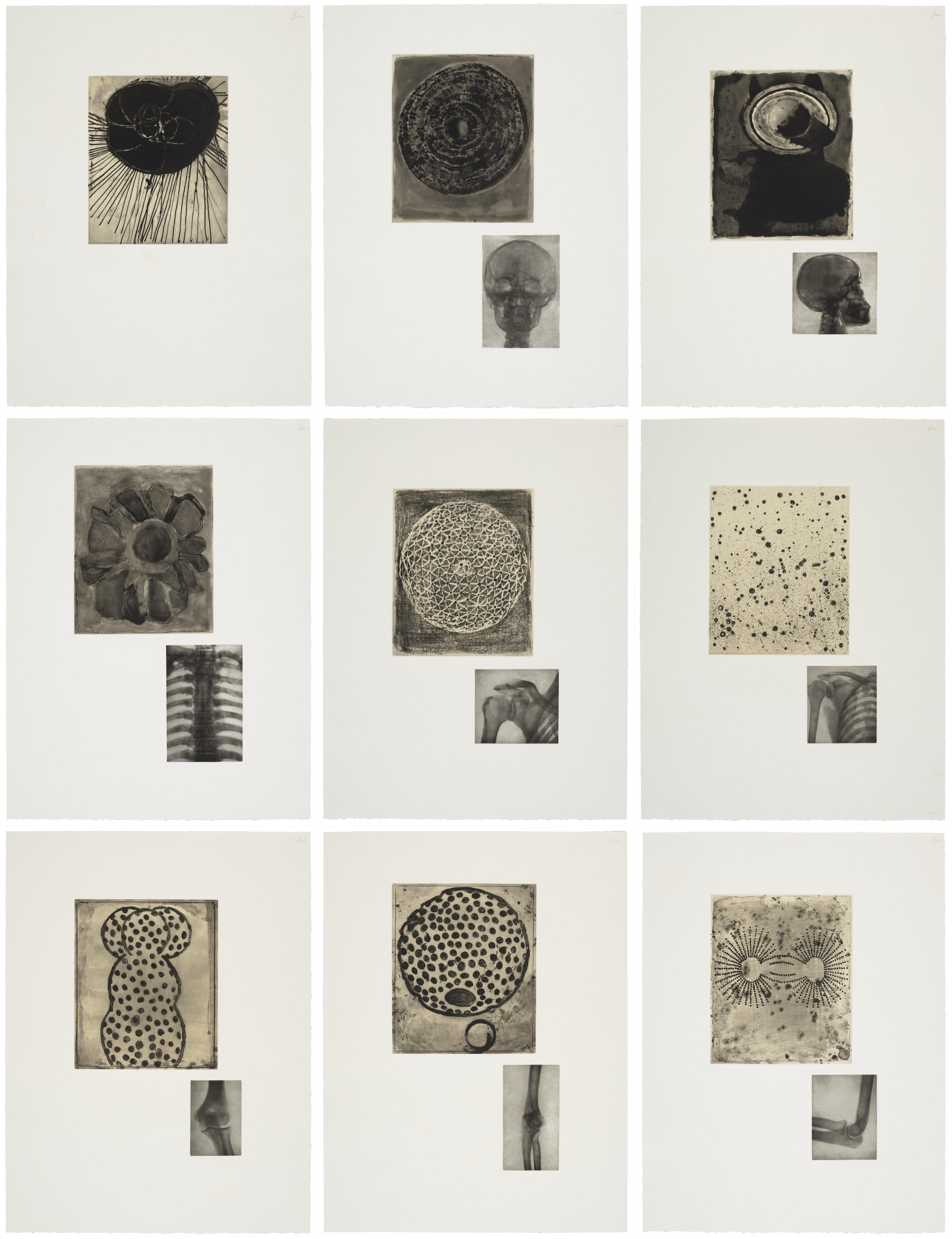 Terry Winters - Fourteen Etchings