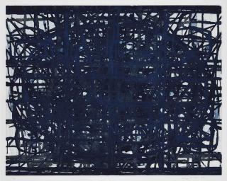 Terry Winters - Internal and External Values (Sojka 132)