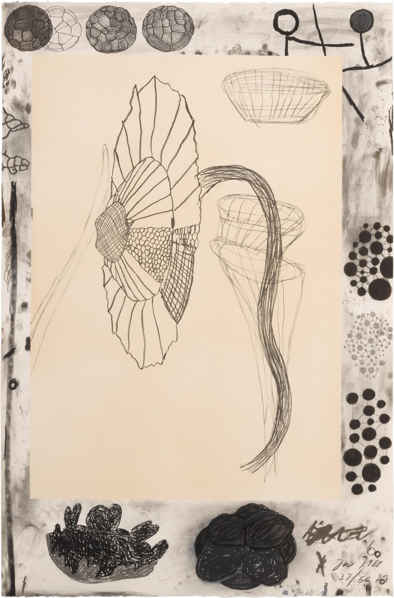 Terry Winters - Marginalia (Sojka 32)