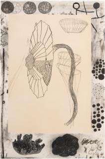 Terry Winters - Marginalia (Sojka 32)