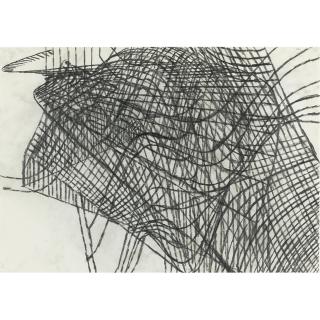 Terry Winters - Meshworks, 12