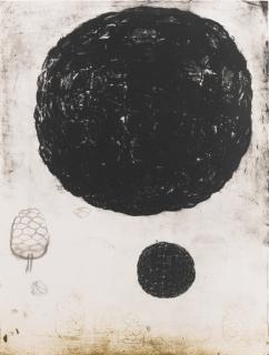 Terry Winters - Morula I (Sojka 3)