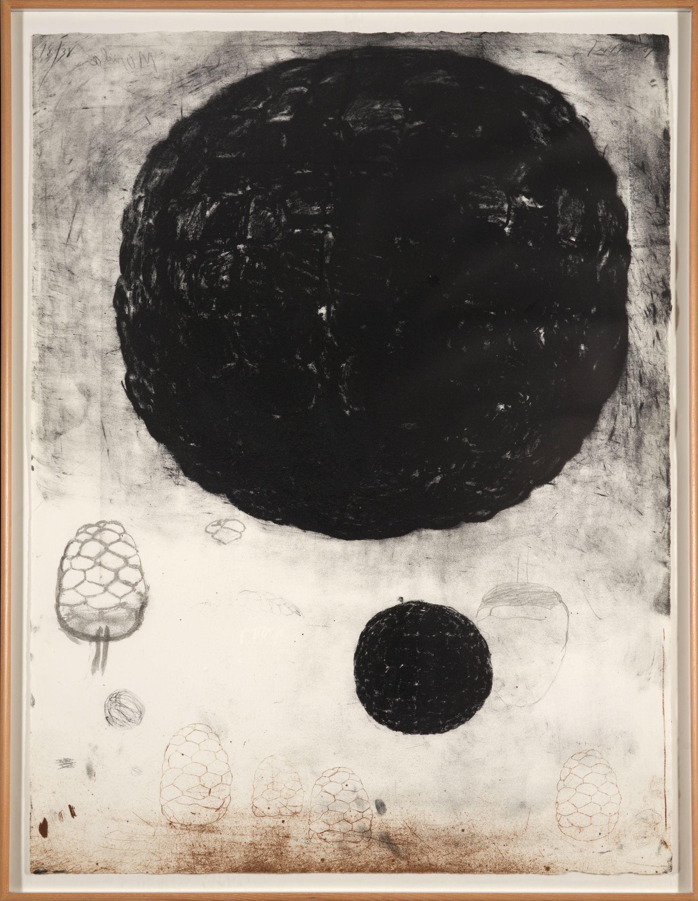 Terry Winters - Morula I