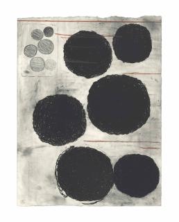 Terry Winters - Morula Ii