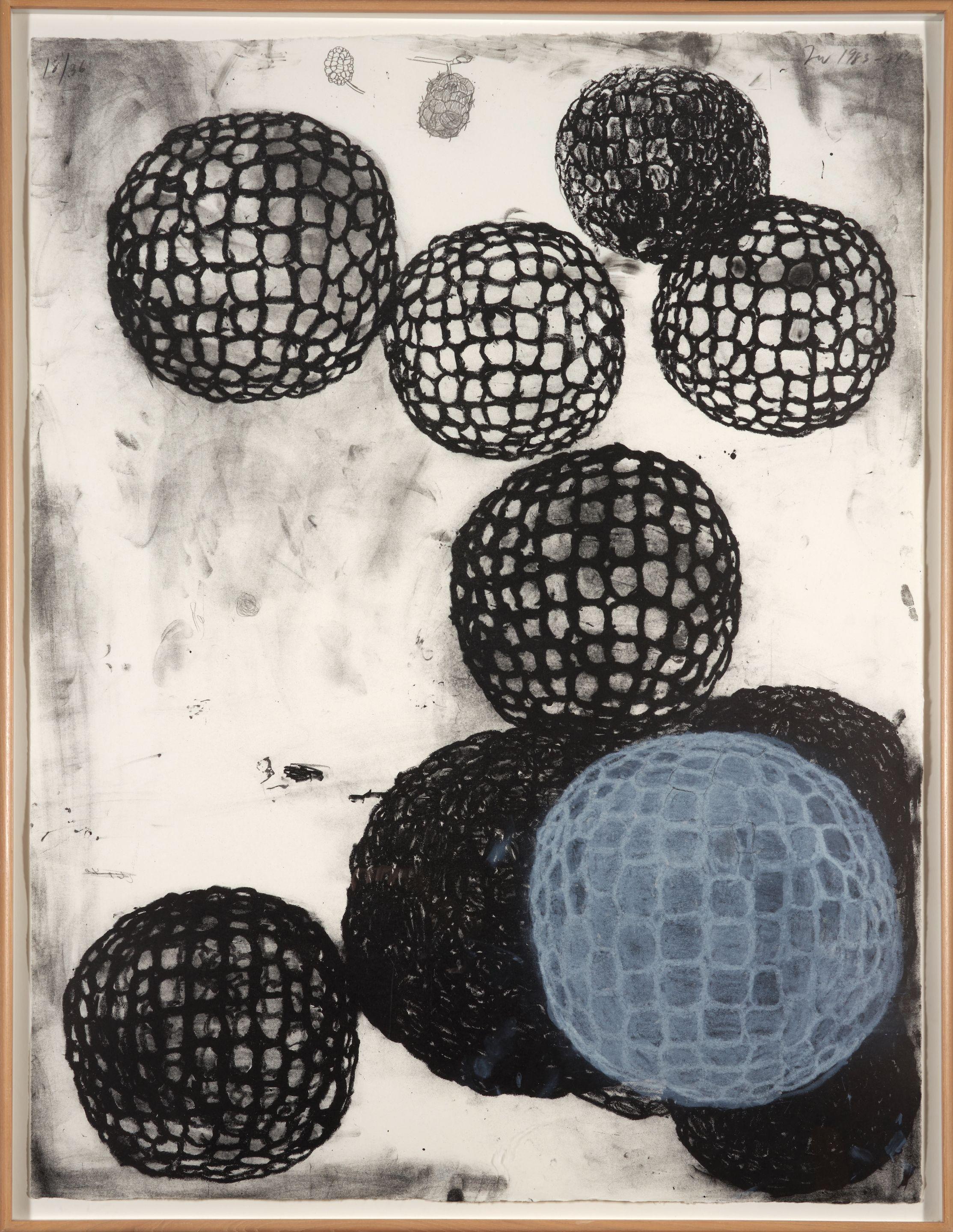 Terry Winters - Morula III