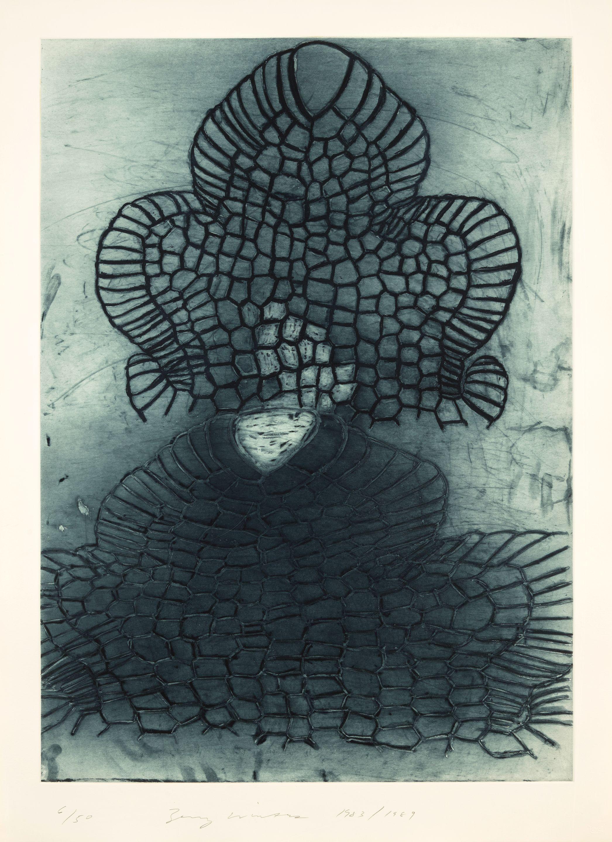 Terry Winters - Novalis