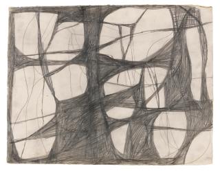 Terry Winters - or a net II