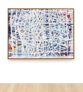 Terry Winters - Parallel Renderings 3