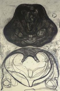 Terry Winters - Section (Sojka 57)