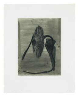 Terry Winters - Station (Sojka 31)