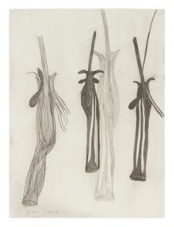 Terry Winters - Untitled