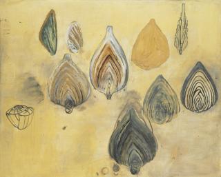 Terry Winters - Untitled