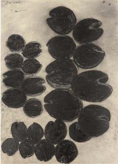 Terry Winters - Untitled