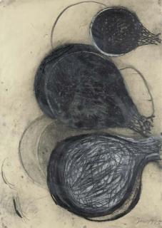 Terry Winters - Untitled